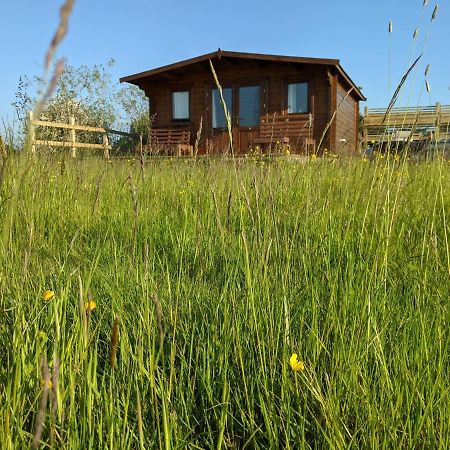 Foxhill Lodges 坎特伯雷 外观 照片