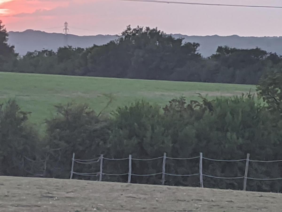 Foxhill Lodges 坎特伯雷 外观 照片