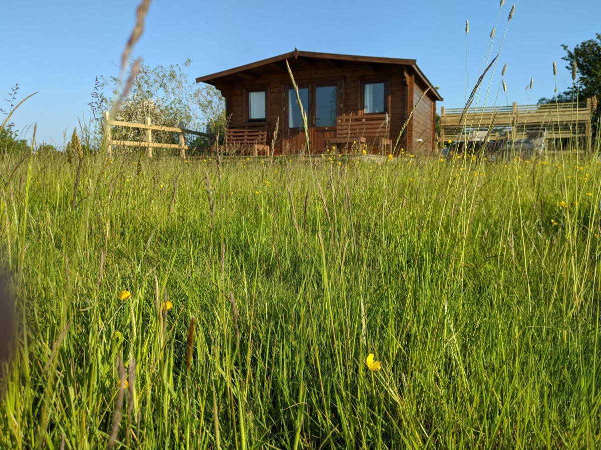 Foxhill Lodges 坎特伯雷 外观 照片